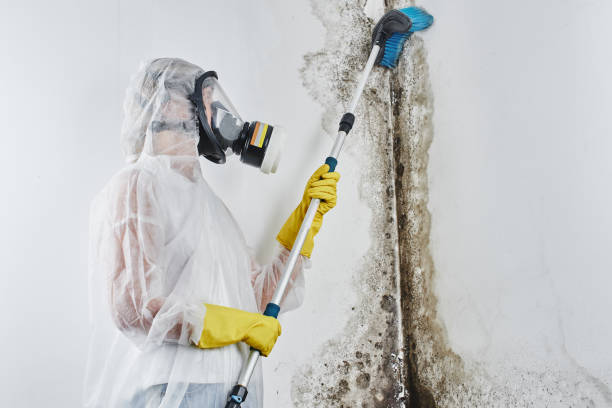 Best Mold Testing  in Newton, TX