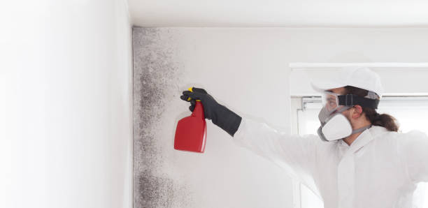 Best Mold Cleaning Services  in Newton, TX